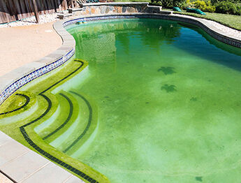 green dirty pool