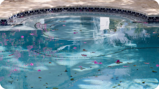 eau de piscine sale non lavée par un robot nettoyeur