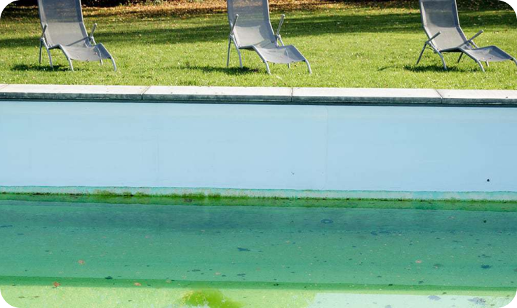 Eau verte piscine : quelles sont les causes ?
